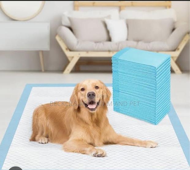 Extra Large ,Large Pee Pads · Photo 4
