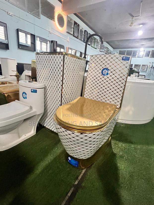 European_white and Gold Water Closet With Standing Basin Complete_wc · Photo 2