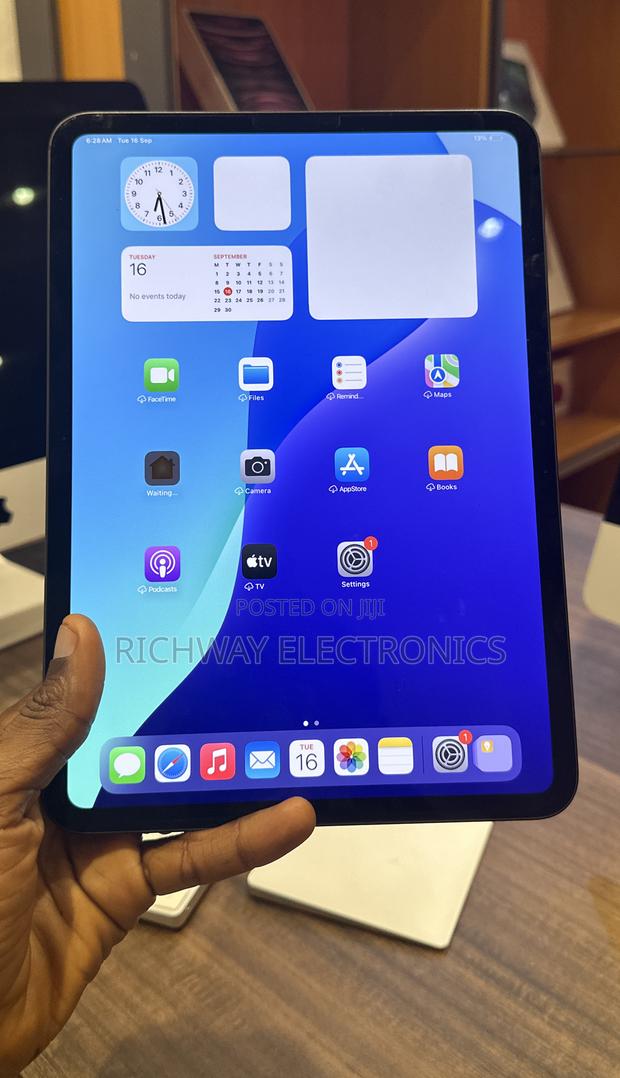 Apple iPad Pro 11 (2024) 256 GB Gray