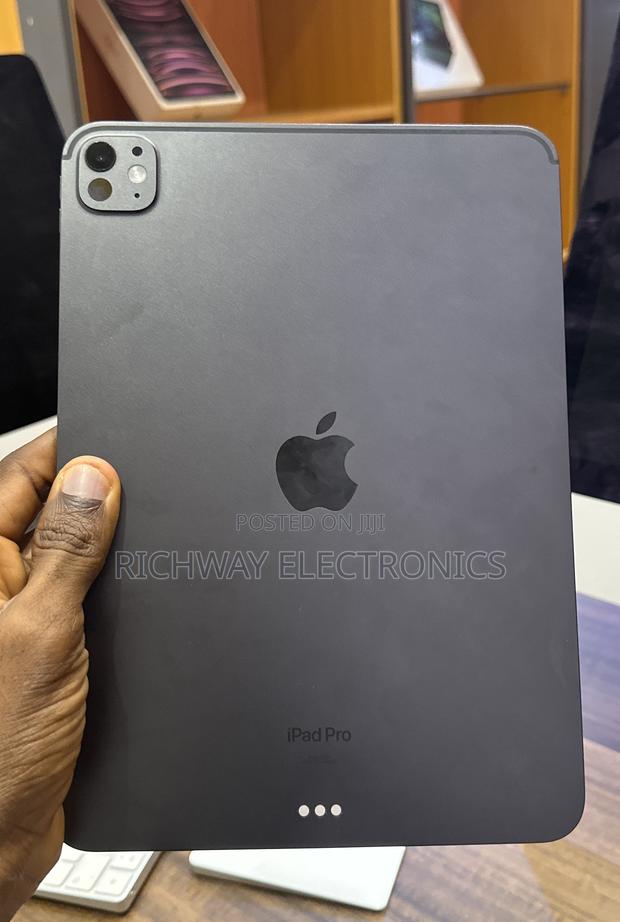 Apple iPad Pro 11 (2024) 256 GB Gray photo 2
