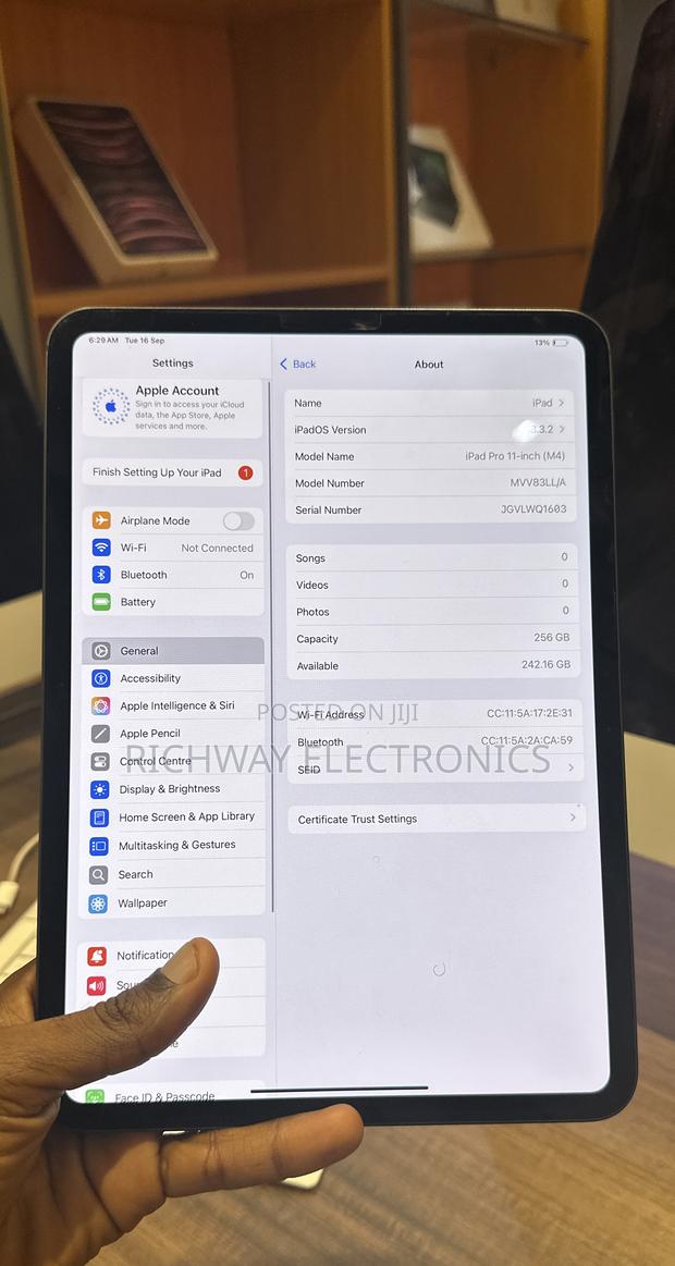 Apple iPad Pro 11 (2024) 256 GB Gray photo 3