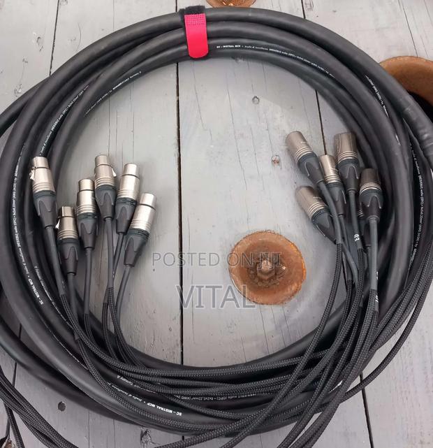 Audio Sssnake