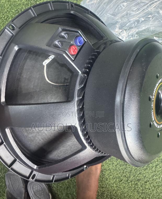2500watt JLD Double Magnet Speaker photo 3
