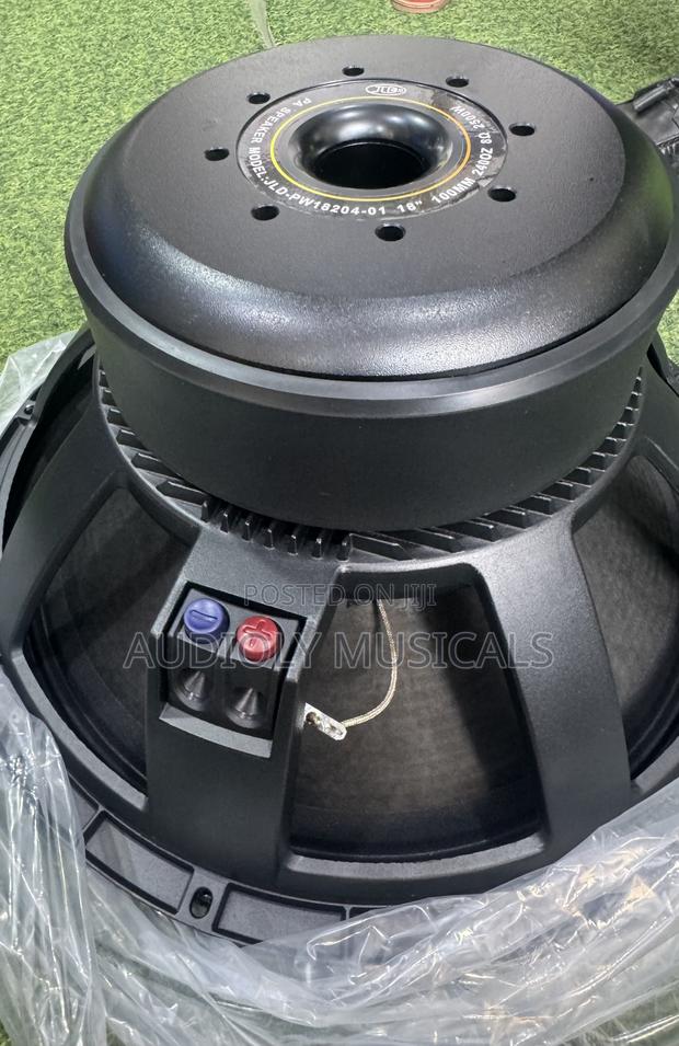 2500watt JLD Double Magnet Speaker photo 2