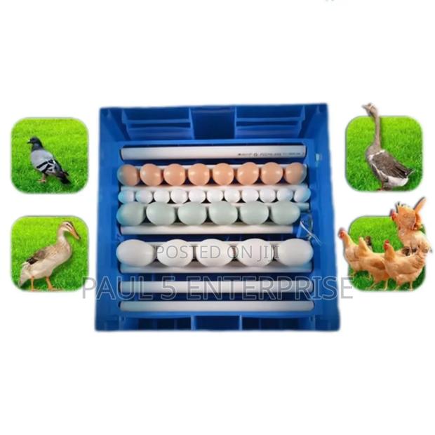 128egg I Incubator photo 2
