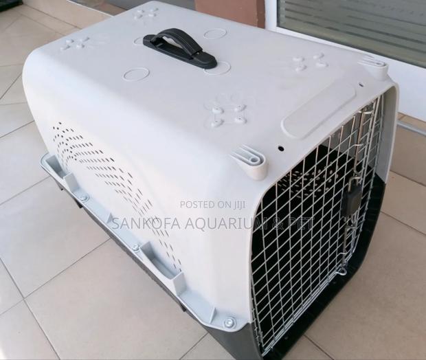 High Quality Plastic Dog Cage · Photo 2