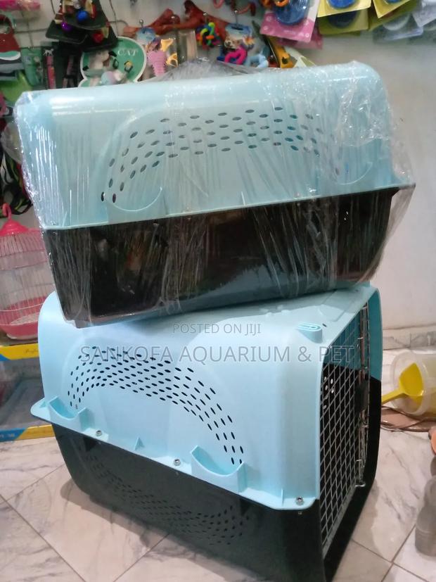 Quality Plastic Traveling Dog Cage · Photo 2