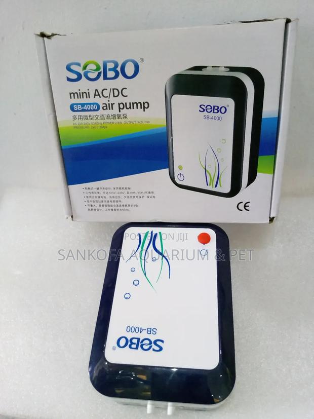 Powerful 2 Outlet Rechargeable Air Pump · Photo 2