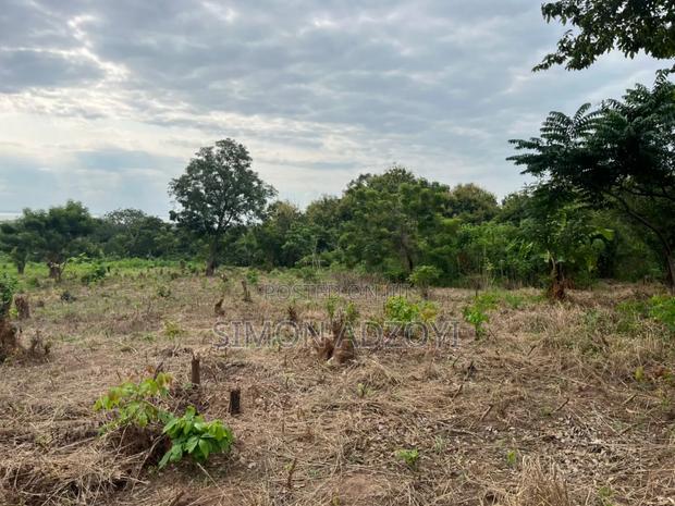 3000 Acres of Farm Land