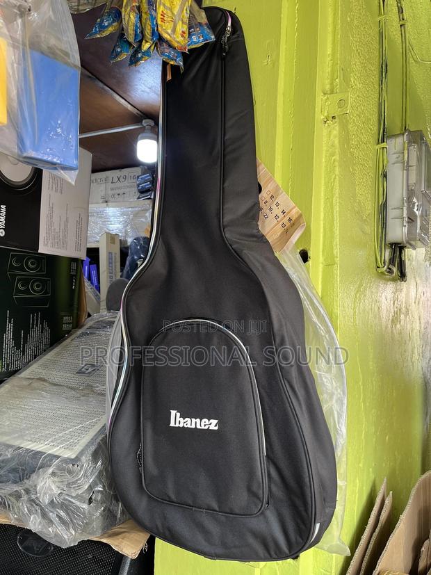 Acoustic Guitar Bag · Photo 2