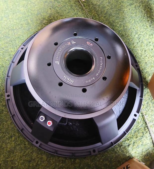 GLS 18" 2500 Watts Naked Speakers( Titanic) · Photo 3