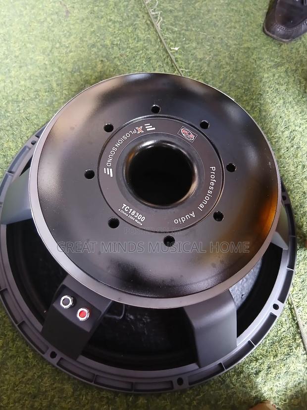 GLS 18" 2500 Watts Naked Speakers( Titanic) · Photo 4