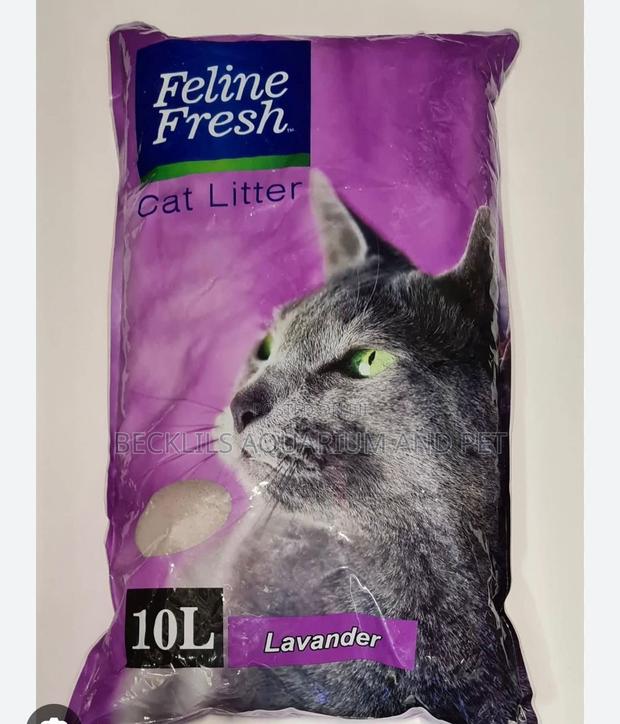 10l Cat Liter Sand ( Bentonite and Clamping) · Photo 4