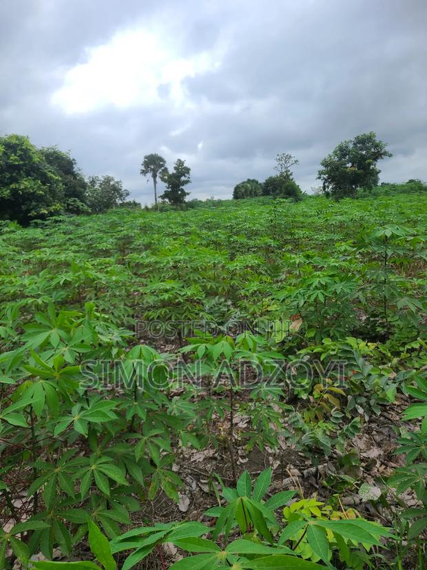 6000 Acres Available for Long Term Lease