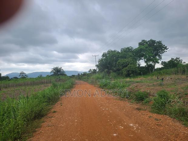 6000 Acres Available for Long Term Lease