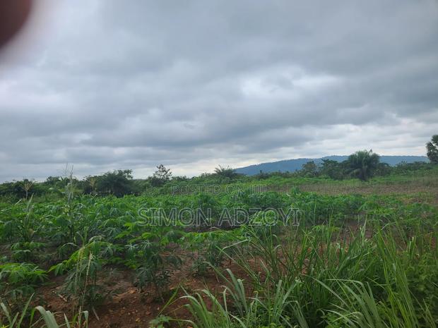 6000 Acres Available for Long Term Lease