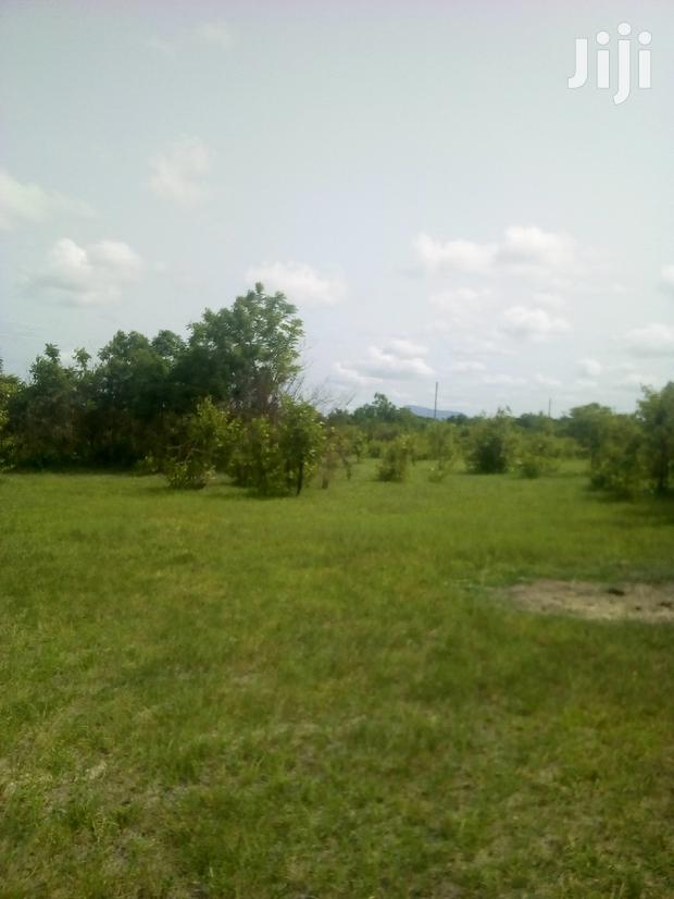 1000 Acres of Farmland