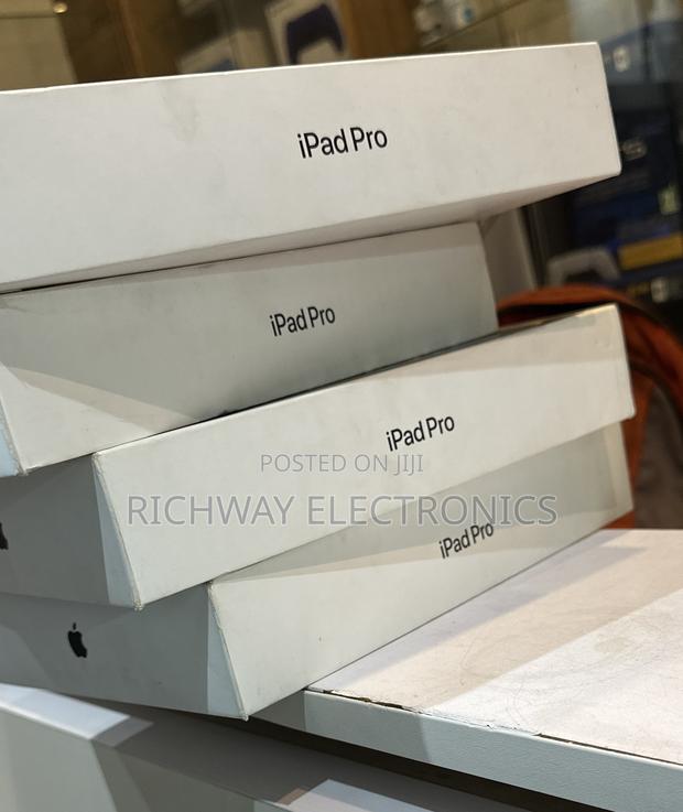 New Apple iPad Pro 11 (2024) 256 GB Gray photo 4