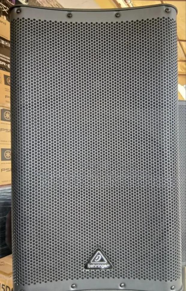 Beringer Active Speaker ( 15 Inches) · Photo 4