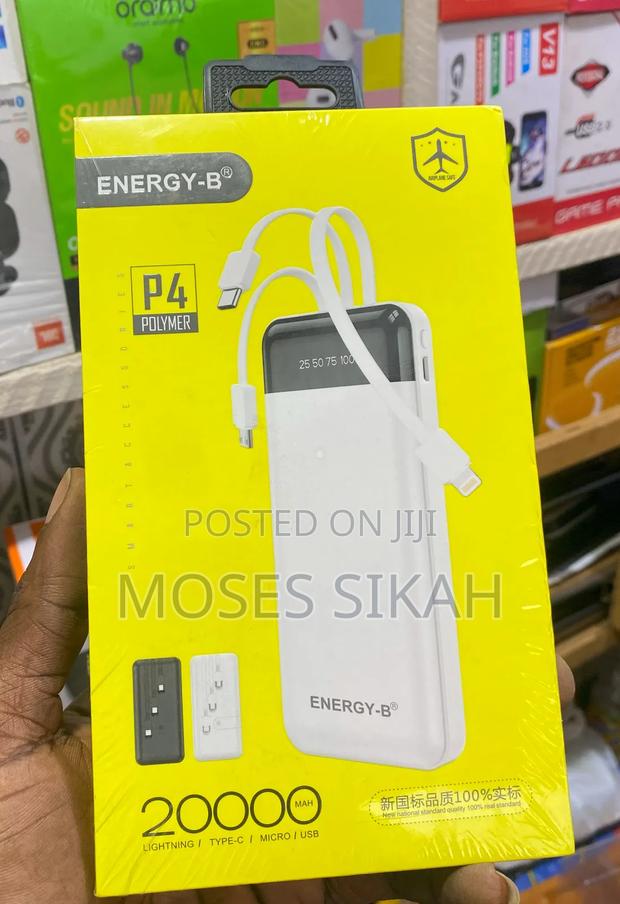 P4 Polymer Power Bank