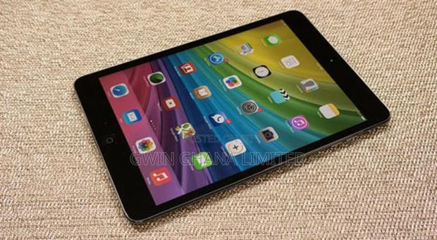 Apple iPad mini 2 16 GB Gray