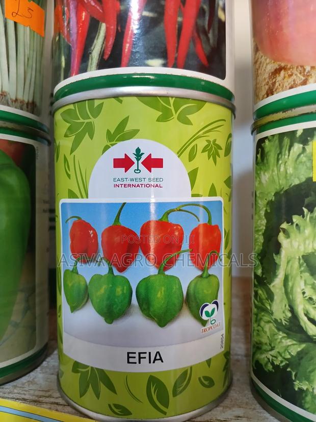 Efia Hot Pepper Seeds 50grams