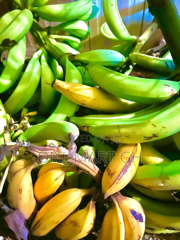 Plantains .Ripe and Unripe photo 4