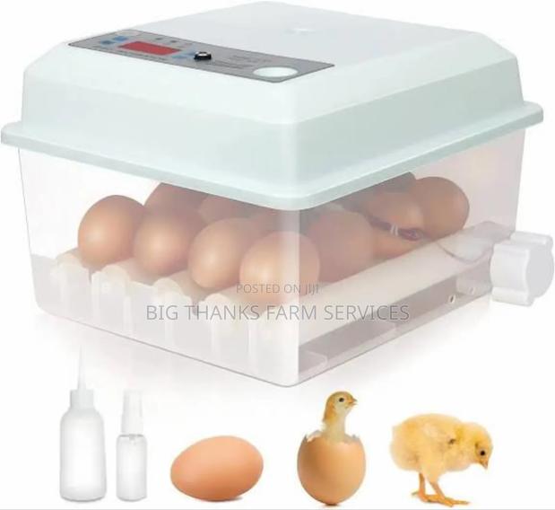 Egg Incubator, 64 Eggs Capacity,Dual Power · Photo 2