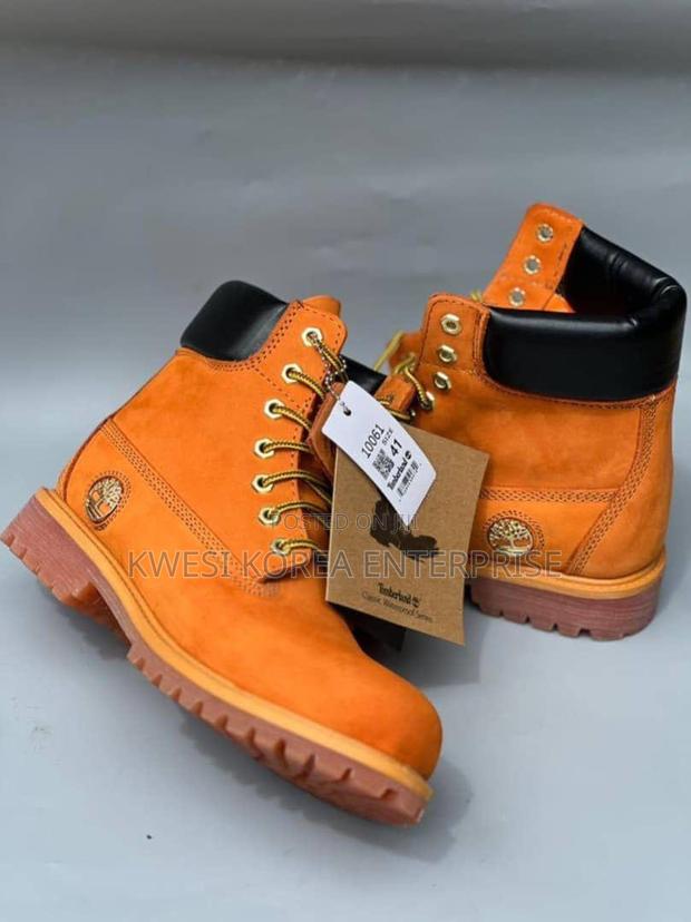 Timberland Sneaker With Box · Photo 4