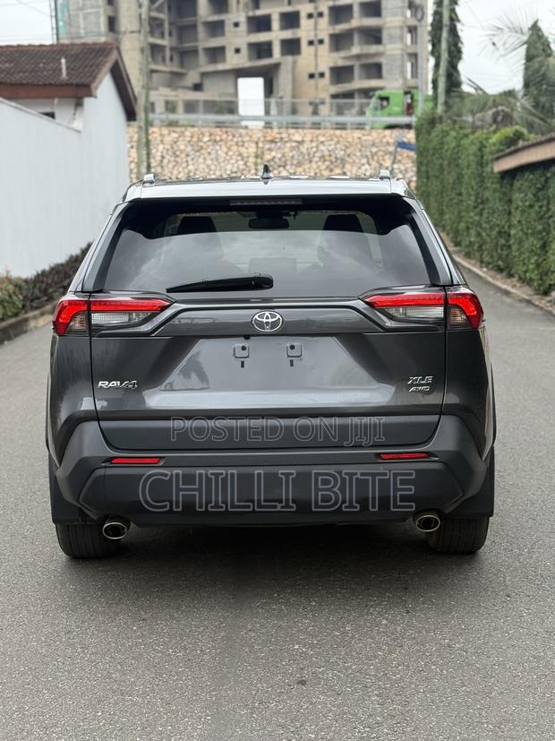 Toyota RAV4 XLE FWD 2020 Gray photo 14