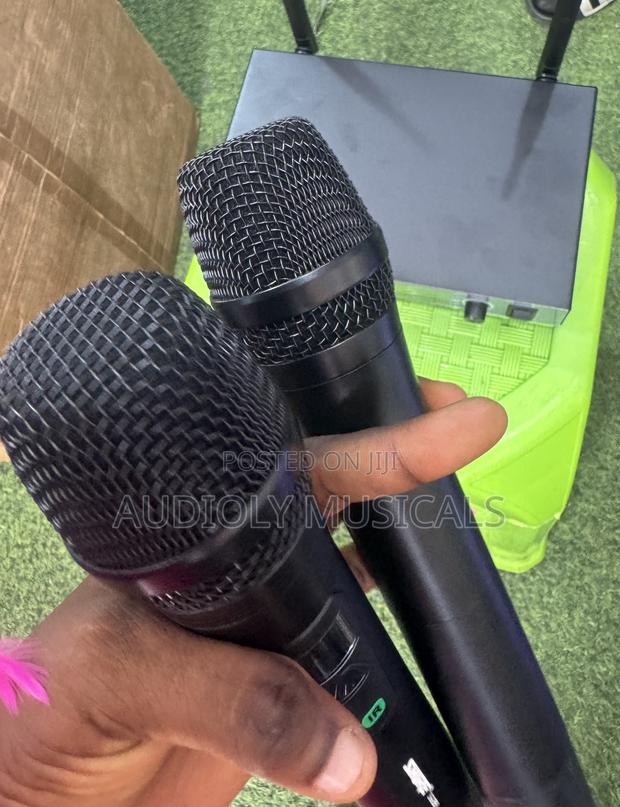 Shure Dual-Microphone photo 3