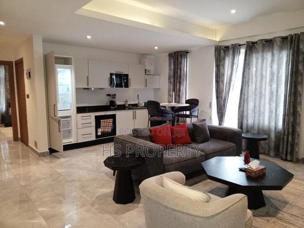 Furnished 1bdrm Apartment in West Legon for rent photo 6