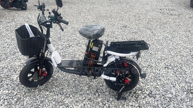 New Norton 2024 Black