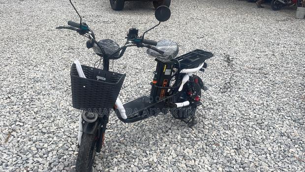 New Norton 2024 Black