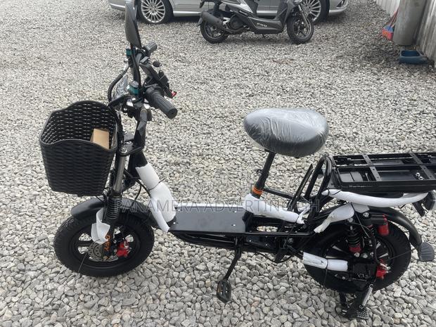 New Norton 2024 Black