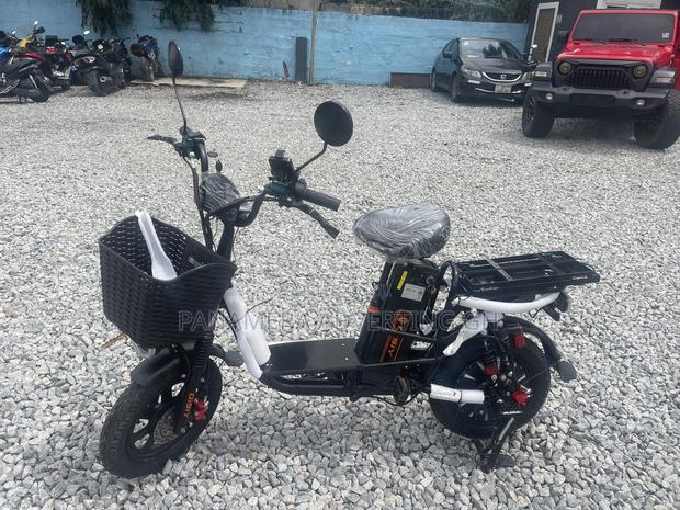 New Norton 2024 Black