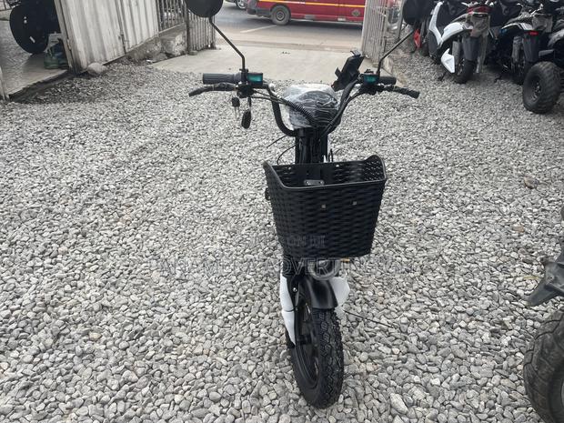 New Norton 2024 Black