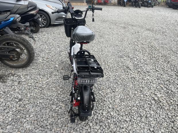 New Norton 2024 Black