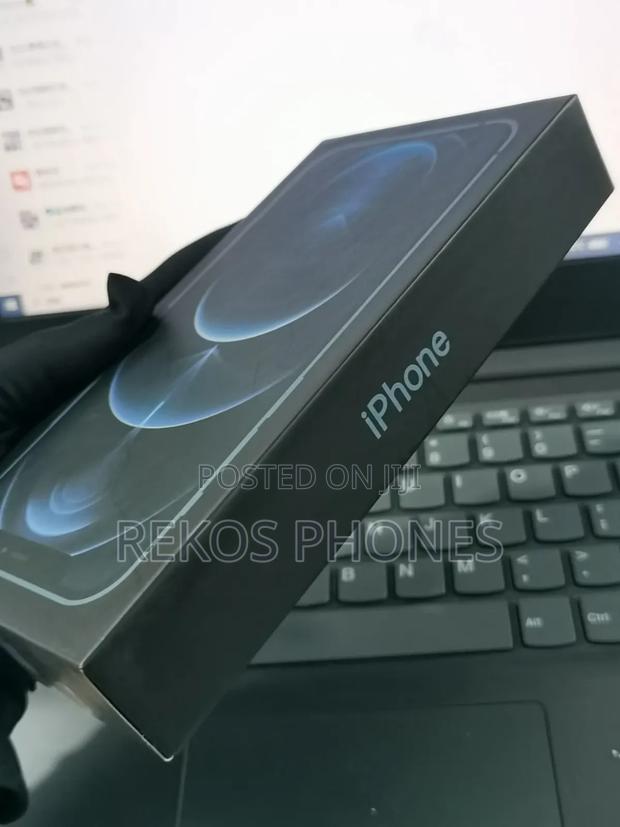 New Apple iPhone 12 Pro Max 256 GB Blue photo 4