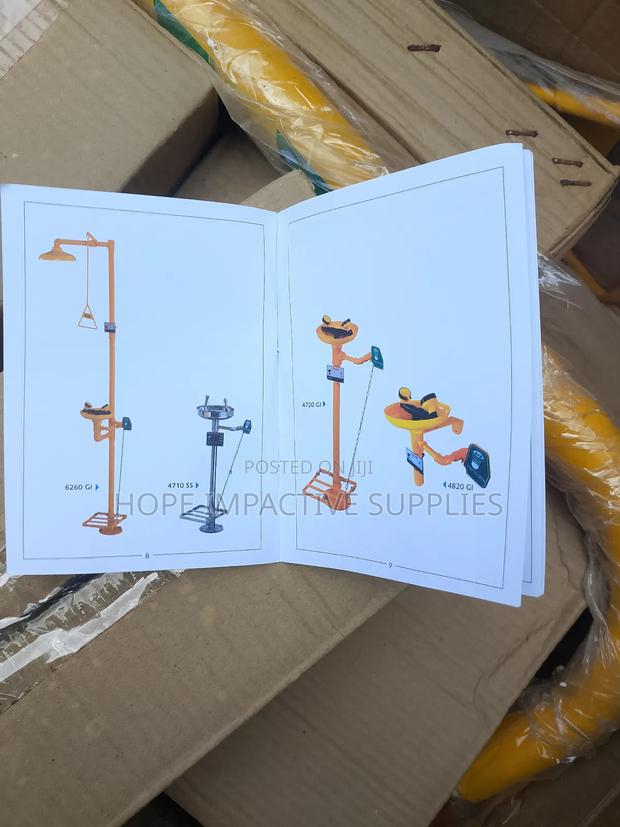 Vaultex Emergency Eye Wash Station - Galvanized.