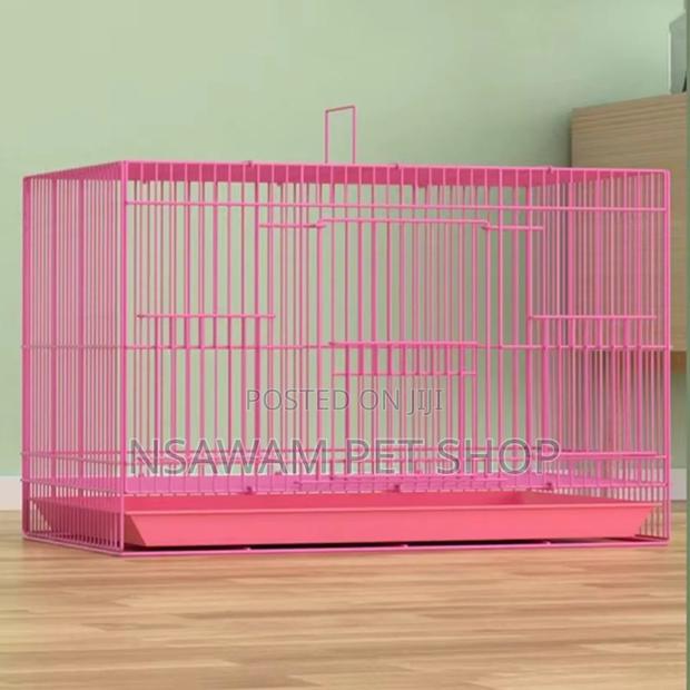 Parrot Cage · Photo 3