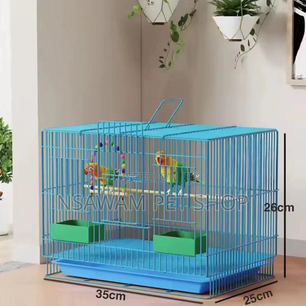 Parrot Cage · Photo 4