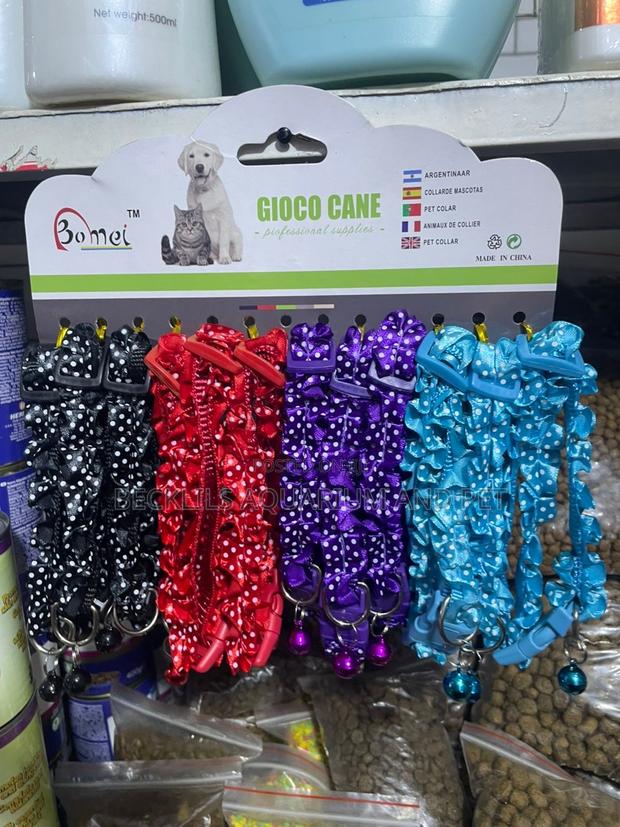 Classy Dog Colors · Photo 2