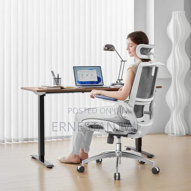 Sihoo Ergonomic Mesh Office Chair From Uk photo 2