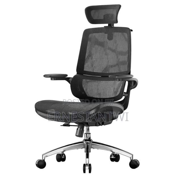 Sihoo Ergonomic Mesh Office Chair From Uk photo 5