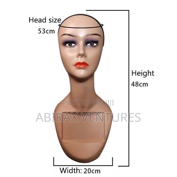 Long Neck Mannequin Head Available · Photo 4