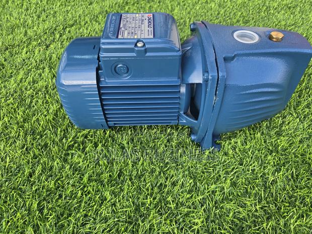 Pedrollo 1.5 Hp Castbody photo 4
