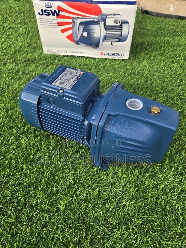 Pedrollo 1.5 Hp Castbody