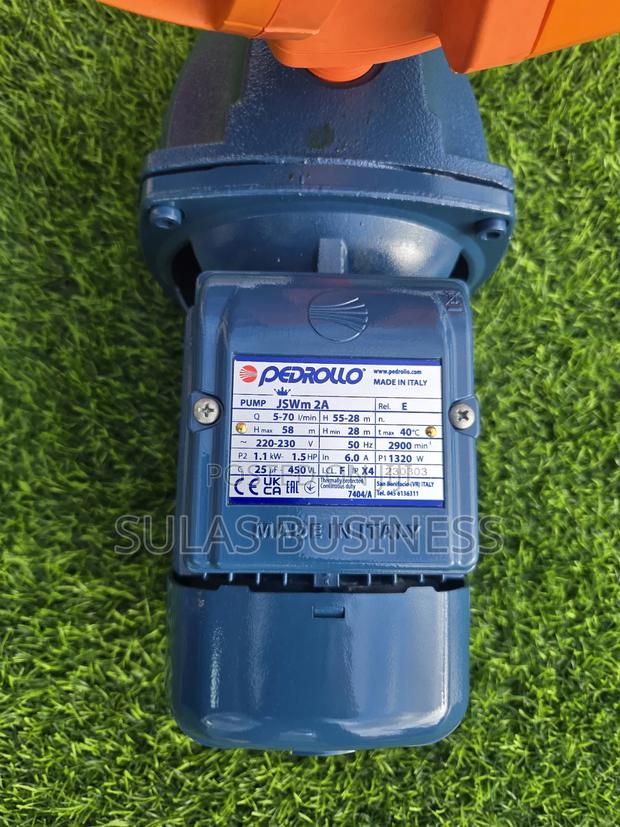 Pedrollo 1.5 Hp Castbody photo 5