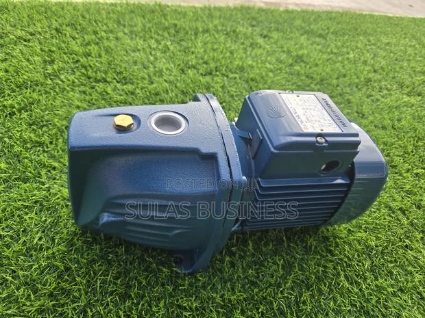Pedrollo 1.5 Hp Castbody photo 6